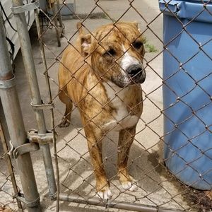 Meet your Posher, Dashawn